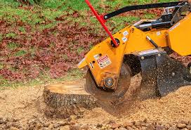 Tree and Shrub Care in Elim, PA